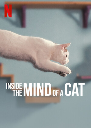 Poster film Inside the Mind of a Cat